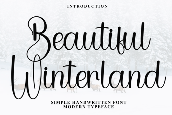 Beautiful Winterland Font for Creative Campaigns