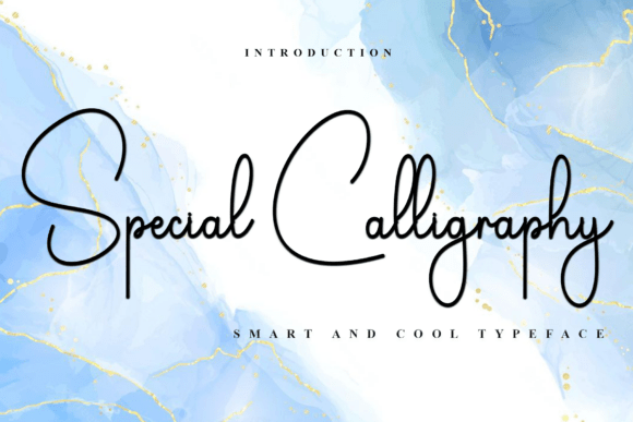 Special Calligraphy Font Review